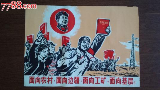 格罗宁根汉泽大学公共管理文凭证书